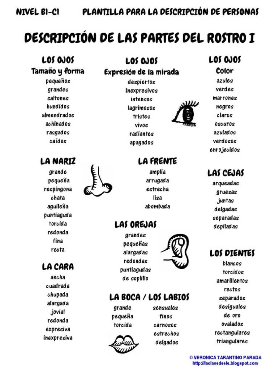 ficha descripción partes del cuerpo