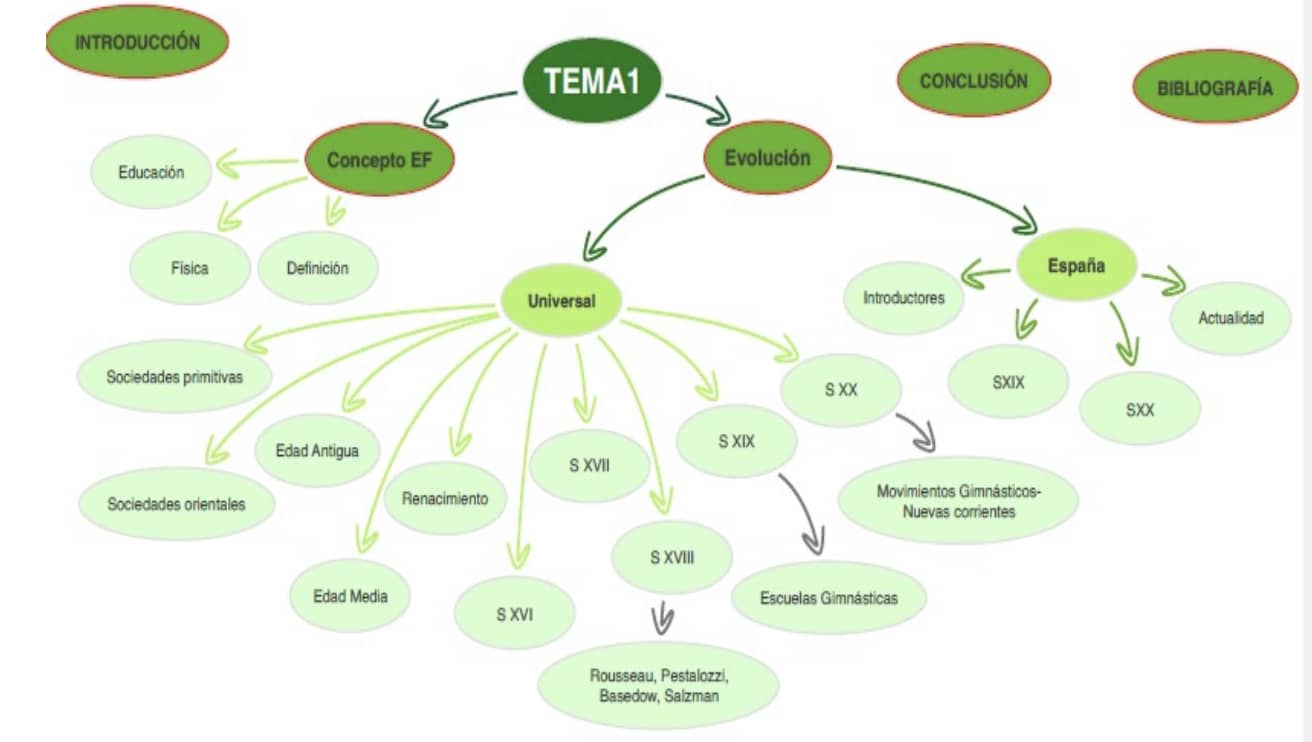 mapa conceptual educación física primaria