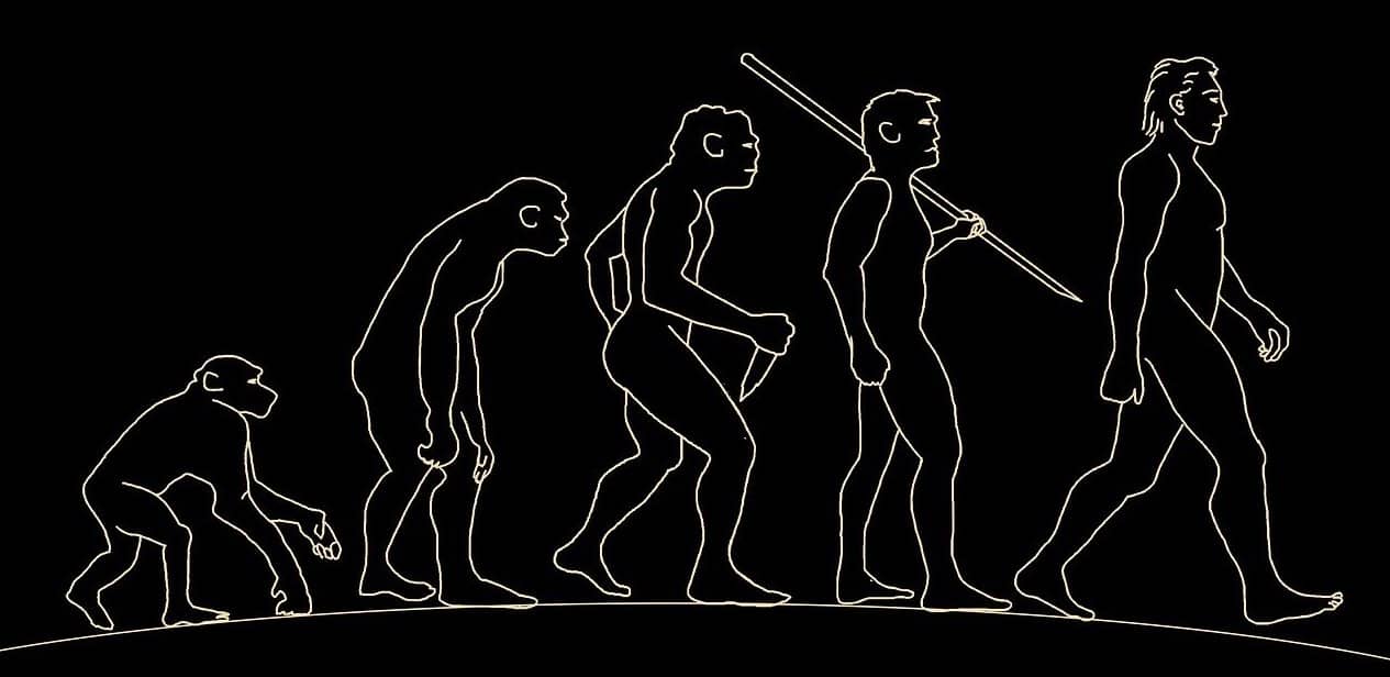 evolución del hombre sencilla