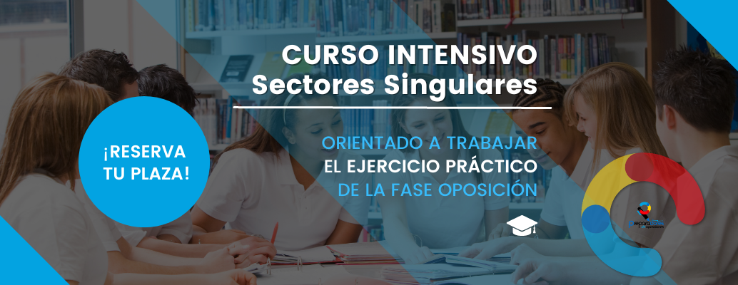 CURSO INTENSIVO Sectores Singulares
